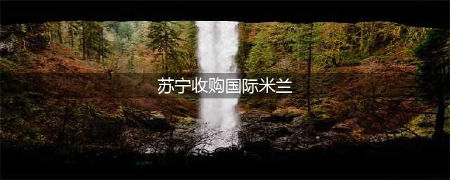 张康阳跌落神坛，八年国米，是成功还是教训？(苏宁收购国际米兰)