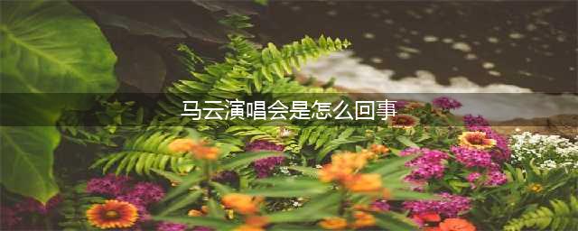 马云演唱会是怎么回事？造型是怎么回事？(马云演唱会是怎么回事)