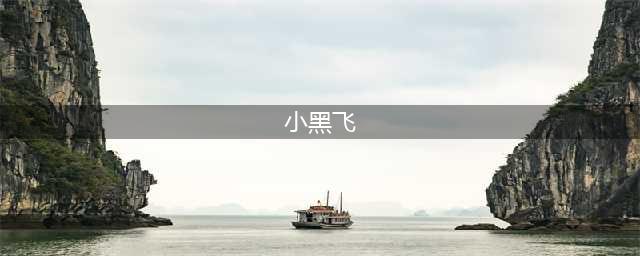 小黑飞怎么杀也不死？那是你没用对方法！(小黑飞)