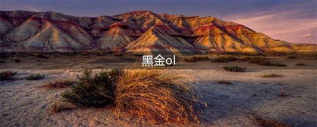 《使命召唤OL》黑金幸运骰子 永久传说武器等你领(黑金ol)