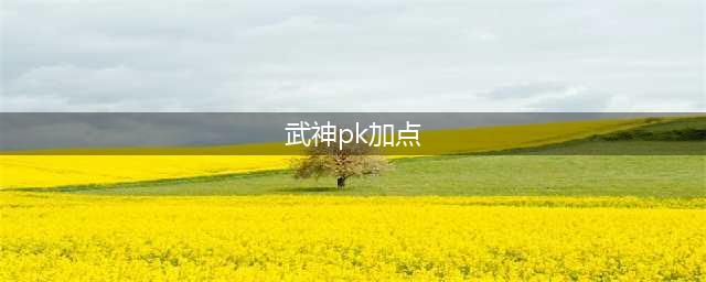 《DNF》100级武神如何加点 100级武神加点方法(武神pk加点)