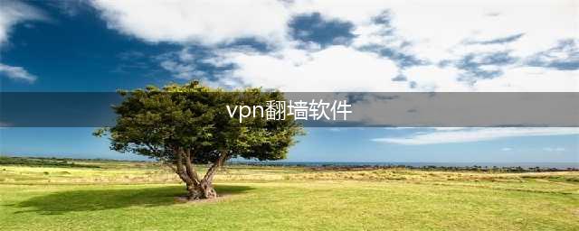 跨境办公VPN不好用？ToDesk企业版海外支持网络加速(vpn翻墙软件)