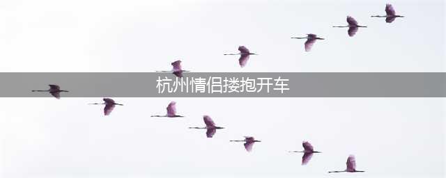杭州情侣搂抱开车 网友：这是拿生命秀恩爱(杭州情侣搂抱开车)