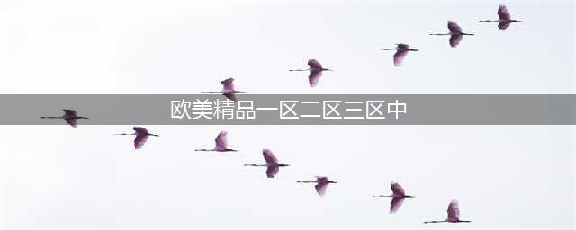 SCI一区二区三区四区的区别(欧美精品一区二区三区中)