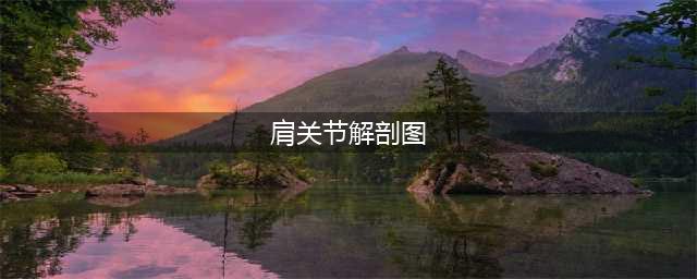 早读 | 超详细的肩关节解剖图解，值得收藏！(肩关节解剖图)