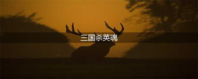 三国杀英魂技能(三国杀英魂)