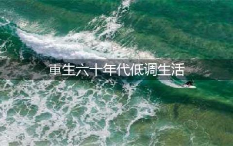 4本高质量年代文：低调重生六零年，闷声发大财，带着家人奔小康(重生六十年代低调生活)