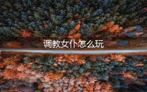 主人雅蠛蝶 X战娘最美女仆调教攻略(调教女仆怎么玩)