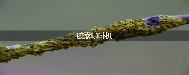 全自助胶囊咖啡机：分析其个性化定制与品质保证(胶囊咖啡机)