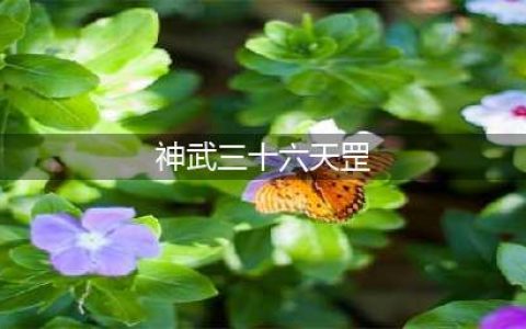 神武4手游三十六天罡打法 三十六天罡战备及打法心得