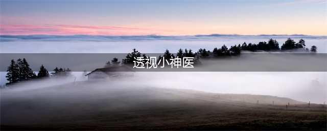 《都市透视小神医》(透视小神医)