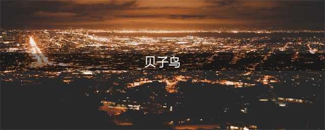 怎样选一只好贝子鸟？(贝子鸟)