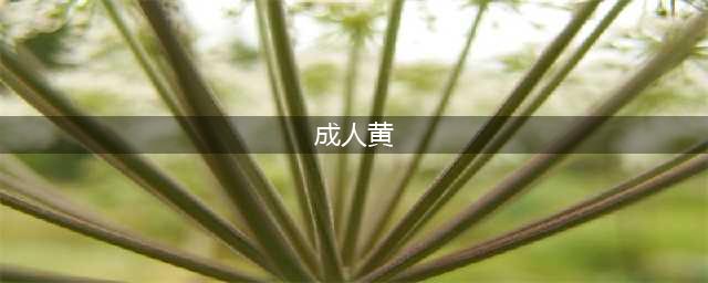 XX性爱，XX黄片，这部神片连片名我都不敢念！揭秘成人影片背后不为人知的故事(成人黄)