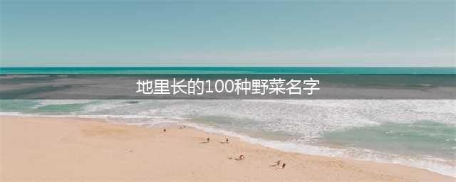 69种野菜大图片，你想要的野菜这里都有，带你轻松识别各种野菜(地里长的100种野菜名字)