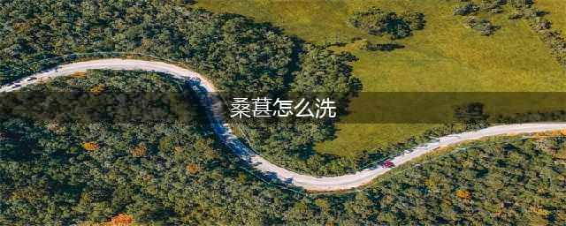 洗桑葚有人加盐，有人加面？老果农：教你正确做法，虫卵自动溜走(桑葚怎么洗)