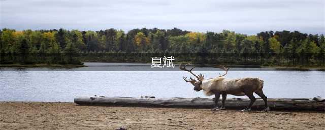 国务院发展研究中心夏斌-简历-课程邀约(夏斌)