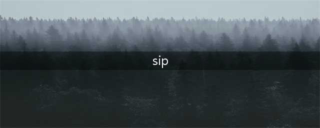 SIP与SOP的区别是什么？(sip)