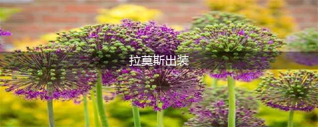 云顶之弈s8披甲龙龟拉莫斯出装攻略