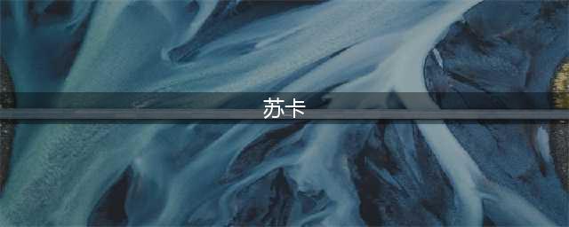 俄语“苏卡”到底是什么意思(苏卡)