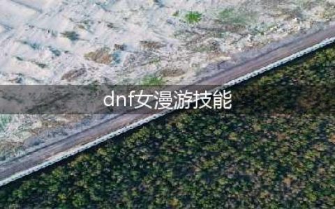 《DNF》2021女漫游技能怎么点 女漫游技能加点推荐(dnf女漫游技能)
