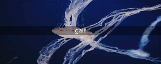 《使命召唤16》Galil怎么样 新枪Galil性能伤害测评(galil)