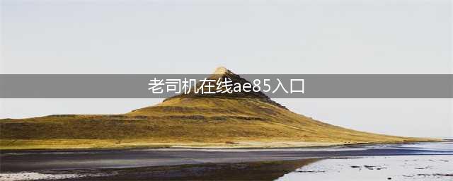 老司机必备的十大免费在线观影网站(老司机在线ae85入口)