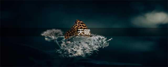 天赋到底是什么？你对天赋的认知可能都是错的(天赋)