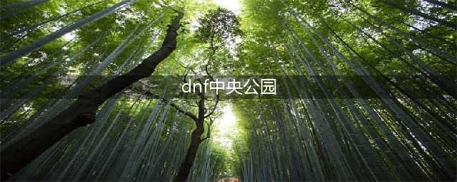 DNF中央公园在哪里详细位置图文说明(dnf中央公园)
