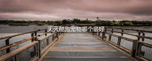 《天天酷跑》神宠哪个好 适用度最高的神宠选择攻略(天天酷跑宠物哪个最好)