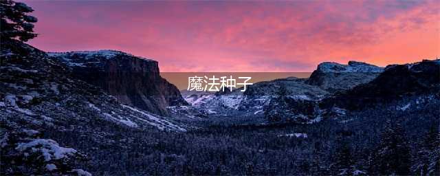 《奥比岛》魔法种子怎么种