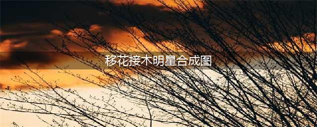 缅北“给钱就录”？揭秘艺人录“祝福视频”内幕(移花接木明星合成图)