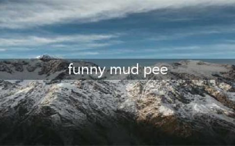 把老外怼懵的“funny mud pee”，被正式纳入牛津词典！(funny mud pee)