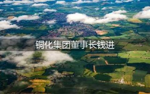 【常务理事单位】铜陵有色集团与铜化集团签署战略合作协议(铜化集团董事长钱进)