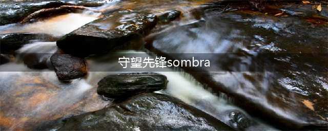 《守望先锋》sombra基础属性及技能介绍(守望先锋sombra)