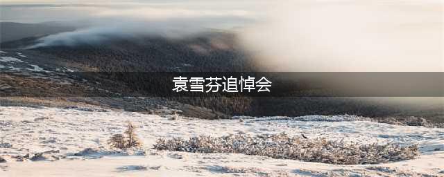 越剧大师袁雪芬追悼会，上万人戏迷悼念，吕瑞英、何赛飞出席惋惜(袁雪芬追悼会)
