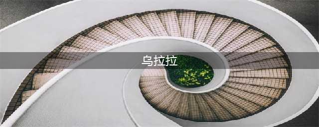 屡战屡败惹人爱——赛马乌拉拉的故事(乌拉拉)