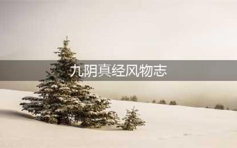 《九阴真经》风物志攻略 云锦落霞衣详细介绍(九阴真经风物志)