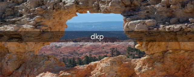 《魔兽世界怀旧服》dkp是什么意思 dkp游戏含义详解(dkp)