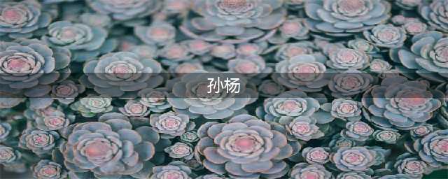 第三次！孙杨又不被尊重，主动握手遭拒绝，这次是巴西选手(孙杨)