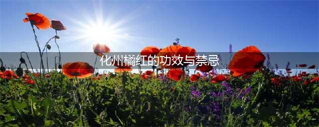 化橘红的功效、禁忌、用法用量(化州橘红的功效与禁忌)