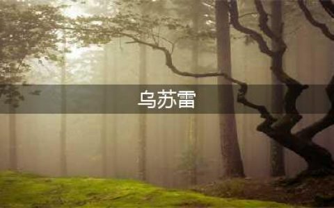 《魔兽世界怀旧服》隐藏boss乌苏雷怎么玩 隐藏boss乌苏雷攻略(乌苏雷)