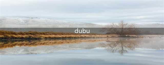 142亿点击的人气韩漫作者，因脑溢血去世(dubu)