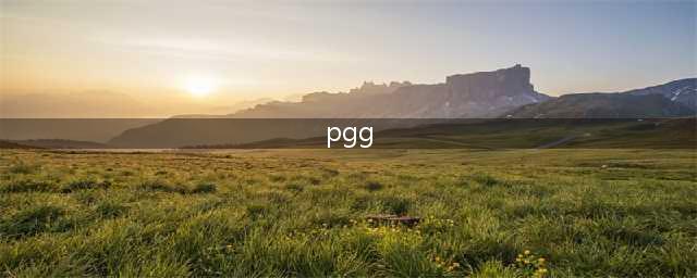 《LOL》2021MSI季中赛PGG战队一览 PGG战队怎么样(pgg)