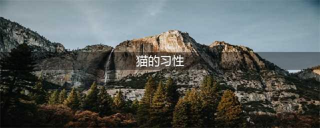 9个字记住猫咪的9大习性，就能掌握猫咪的身体状况，简单又实用(猫的习性)