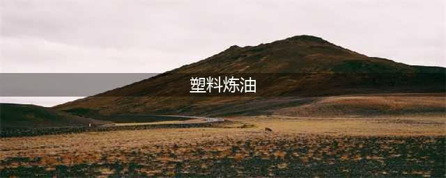 塑料炼油的利润分析(塑料炼油)