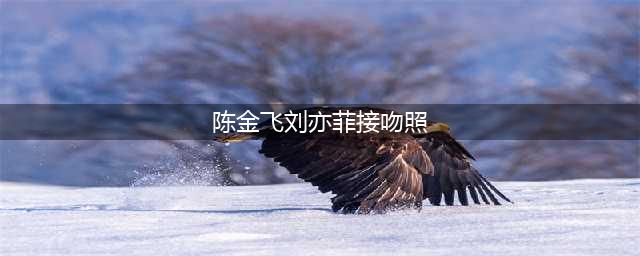 刘亦菲在街头烂醉如泥，和干爹陈金飞在大街上就热吻起来，网友：真脏(陈金飞刘亦菲接吻照)