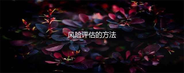 风险评估的方法(风险评估的方法)