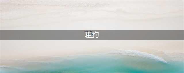 租狗来了，城里人太会玩(租狗)