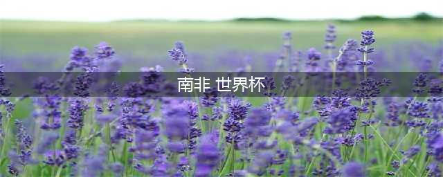 青春风暴！2024 U20世界杯：南非与英格兰的绿茵对决(南非 世界杯)