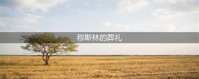《穆斯林的葬礼》：人生最大的智慧，是原谅生活的不完美(穆斯林的葬礼)